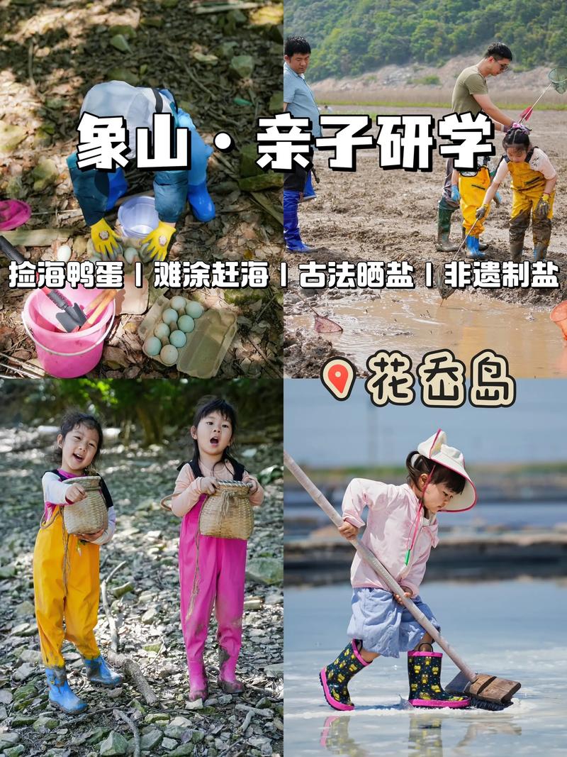亲子研学活动
